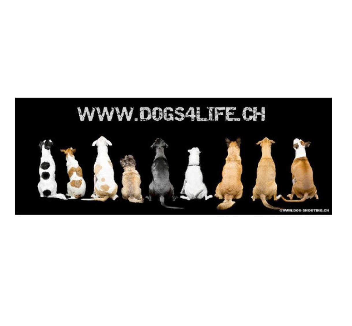 dogs4life_Logo