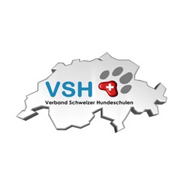 vsh_logo
