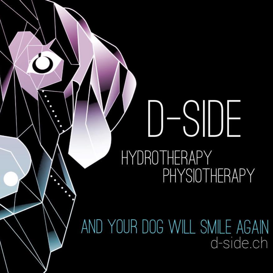 D_Side_Logo